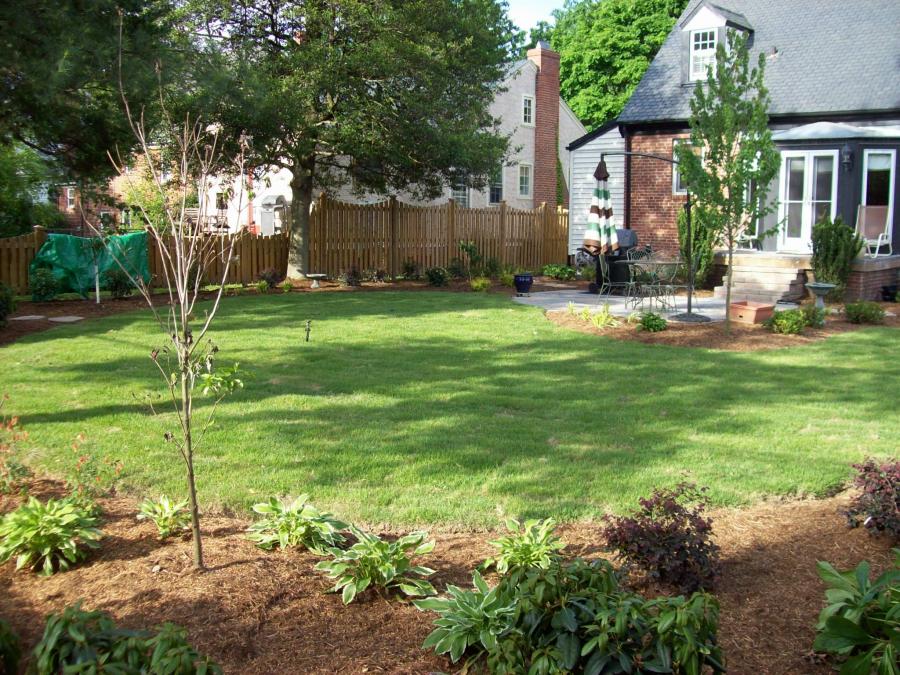 Backyard garden