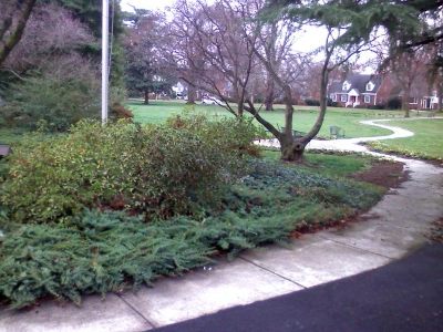 commercial property landscaping