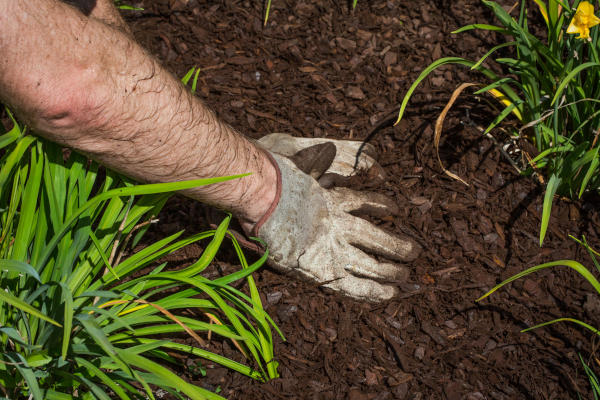 gardeners love our mulch